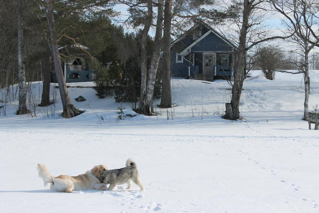 Antintuvan Lomamokit Kauhava Rum bild